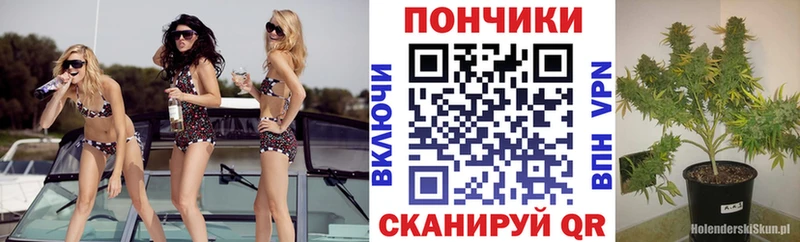 Наркошоп купить Гашиш  Конопля  КОКАИН  Alpha PVP  МЕТАДОН  Меф  Сосногорск