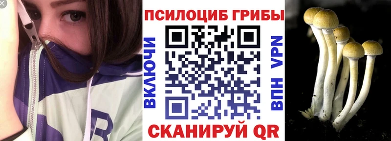 Псилоцибиновые грибы MAGIC MUSHROOMS Купить закладки Сосногорск